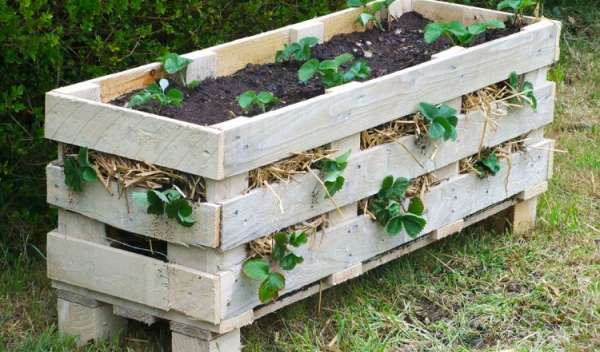 Une jardinière en palette pour vos fraises