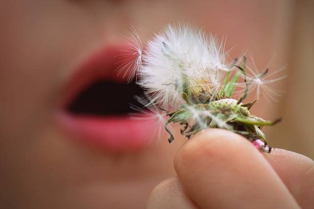 Traitements et remèdes naturels contre les allergies