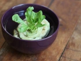Faire pousser les restes des légumes