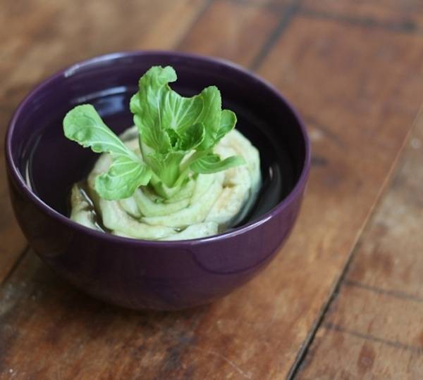 Faire pousser les restes des légumes