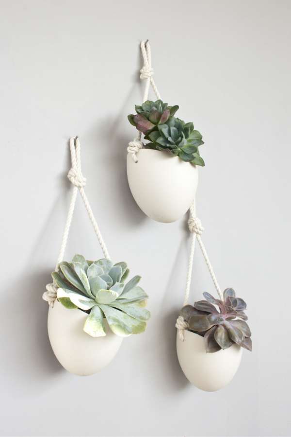 Mini succulentes suspendues