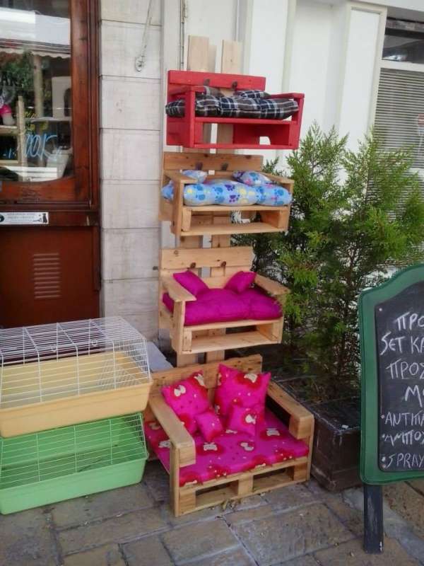 Des fauteuils pour chats