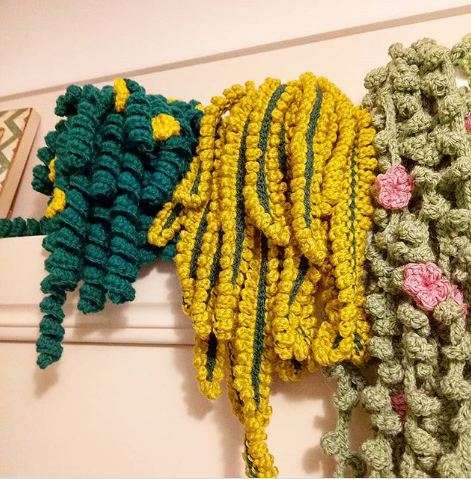 Une jardinière de plantes en crochet