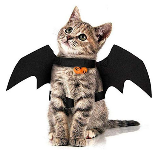 Costume chauve-souris pour chats