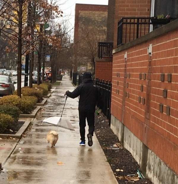 Lorsque le parapluie part dans l'autre sens, utilisez le pour protéger votre toutou de la pluie