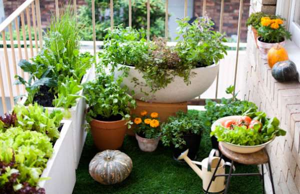 Balcon coin de verdure