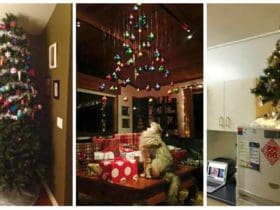 Noël Serein : Conseils pour Éviter les Dégâts Pendant les Fêtes