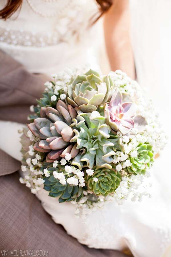 Bouquet de plantes grasses