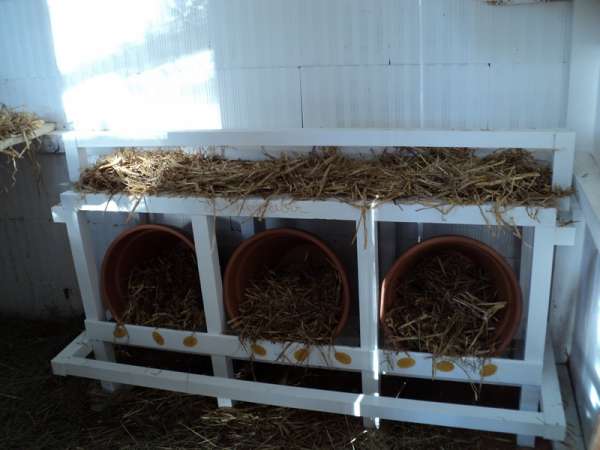 Pondoir avec des pots de terre cuite