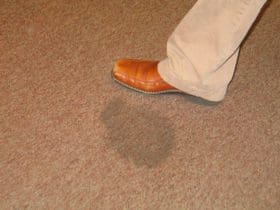 Enlever une tache tenace de la moquette ou du tapis