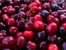 Protéger les cerises