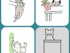 9 mauvaises habitudes de chats adoptées par les humains