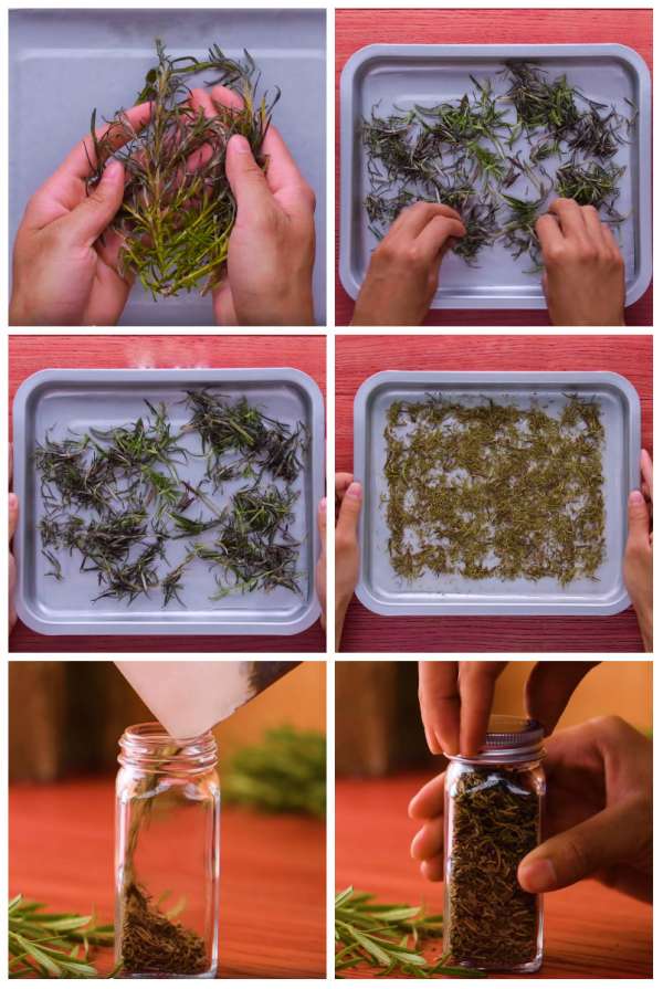 Conservez vos herbes aromatiques avec cette astuce