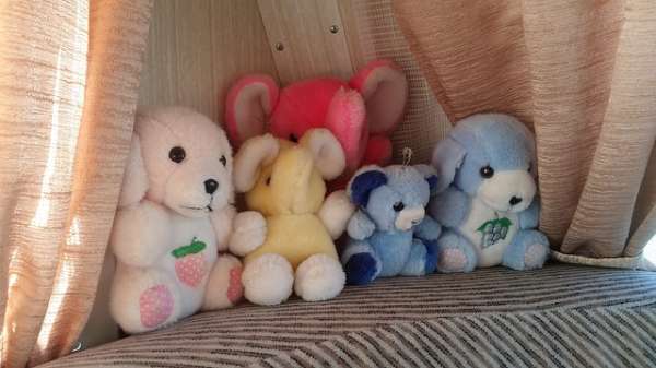 Dans les peluches