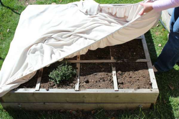 Protégez vos plantes du froid avec un drap-housse