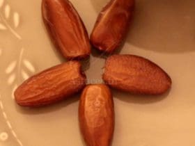 Les vertus des dattes