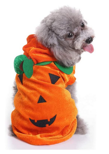 Costume Halloween Citrouille Pour Petit Chien – Déguisement Mignon Orange, Taille M, Pour Fêtes Et Photos