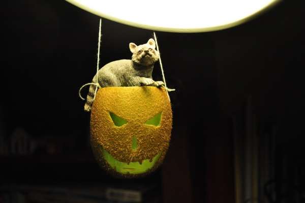 Jack O'Lantern avec un kiwi