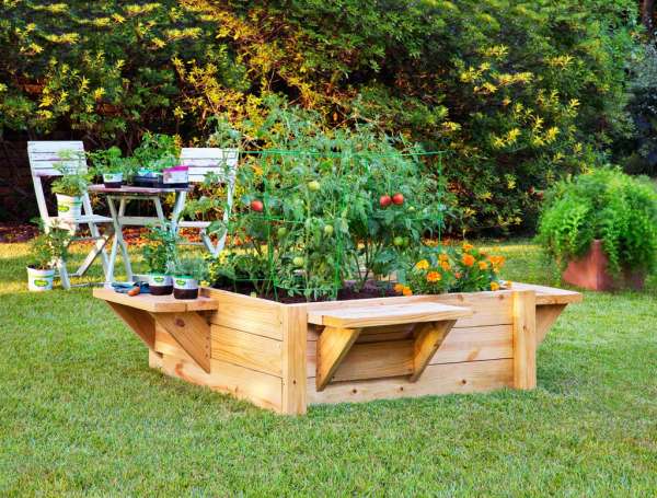 Un potager surélevé avec des banquettes pratiques