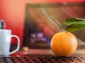 Boostez Votre Énergie : Conseils pour Garder la Forme du Matin au Soir