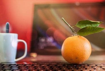 Boostez Votre Énergie : Conseils pour Garder la Forme du Matin au Soir