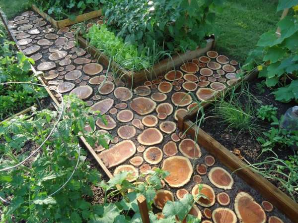 Allée de jardin avec des rondins de bois