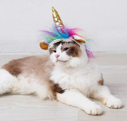 Costume Licorne