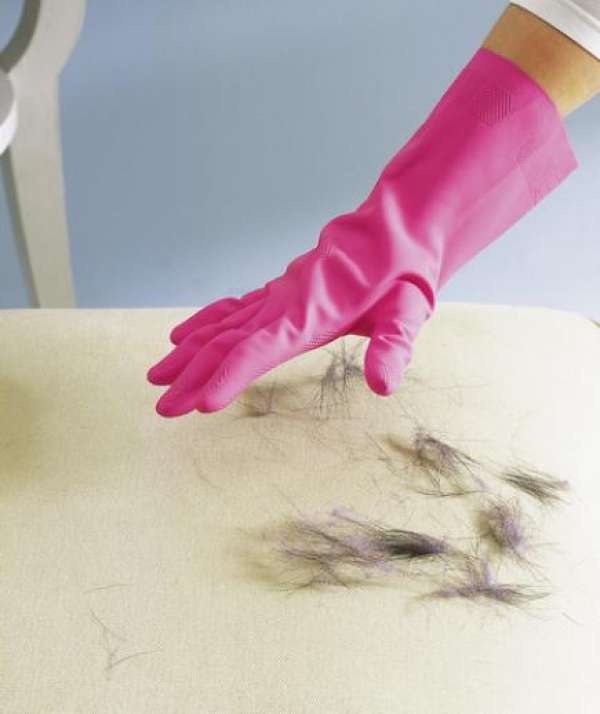 Utiliser les gants de ménage pour enlever les poils d'animaux