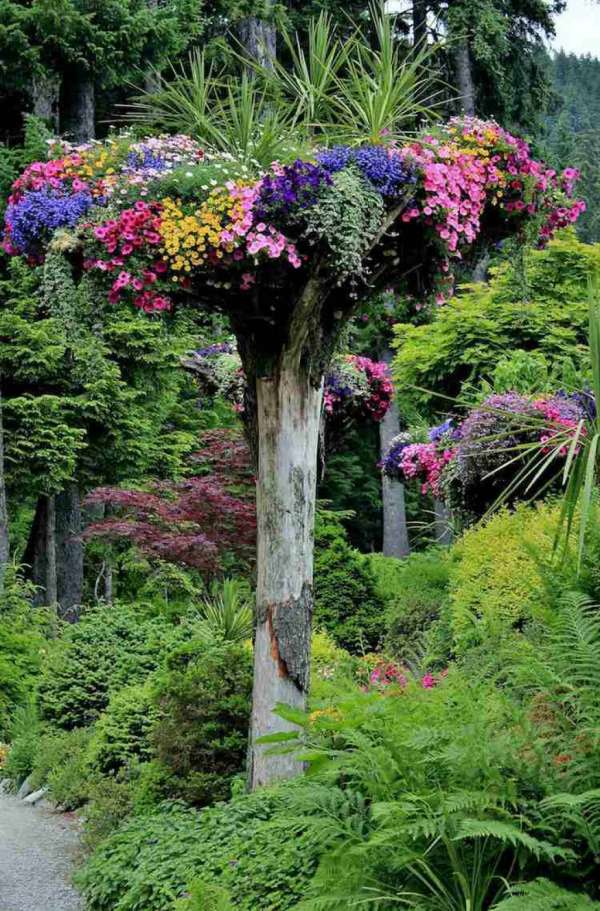 Des fleurs colorées et quelques plantes peuvent redonner du peps à un arbre mort