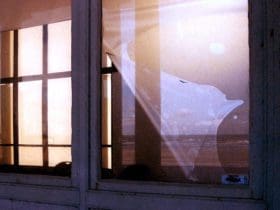 Astuces pour enlever le film des vitres