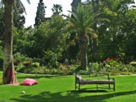 Les secrets d'une belle pelouse