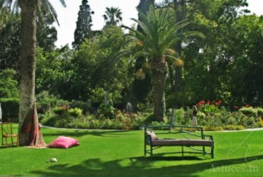 Les secrets d'une belle pelouse