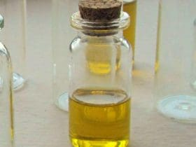 Créez Vos Propres Huiles de Beauté Naturellement Parfumées : Recettes et As