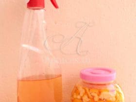 Nettoyant Maison Polyvalent aux Écorces d'Agrumes : Efficace et Écologique