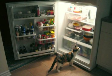 Enlevez les mauvaises odeurs du réfrigérateur