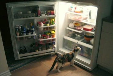 Enlevez les mauvaises odeurs du réfrigérateur