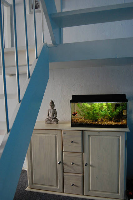 Espace personnalisé 