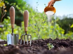 Le sulfate de magnésium : comment l'utiliser dans votre jardin