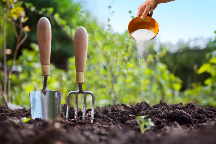 Le sulfate de magnésium : comment l'utiliser dans votre jardin