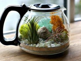 Mini jardins zen dans des pots de récup