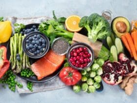 Alimentation équilibrée