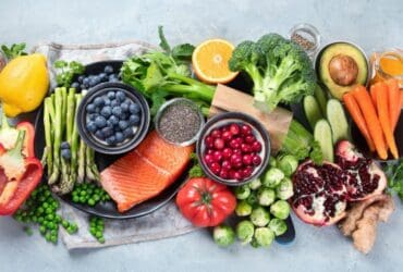 Alimentation équilibrée