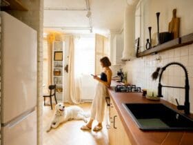 Chiens en appartement