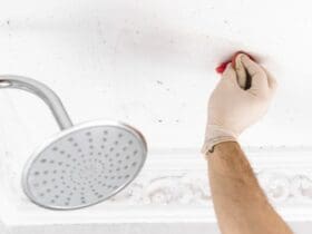 Éliminer les moisissures