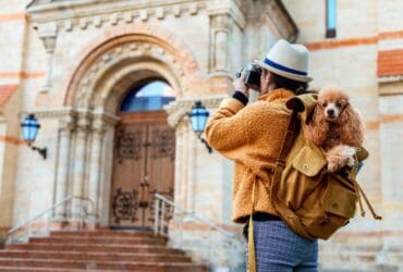 Vacances avec votre animal
