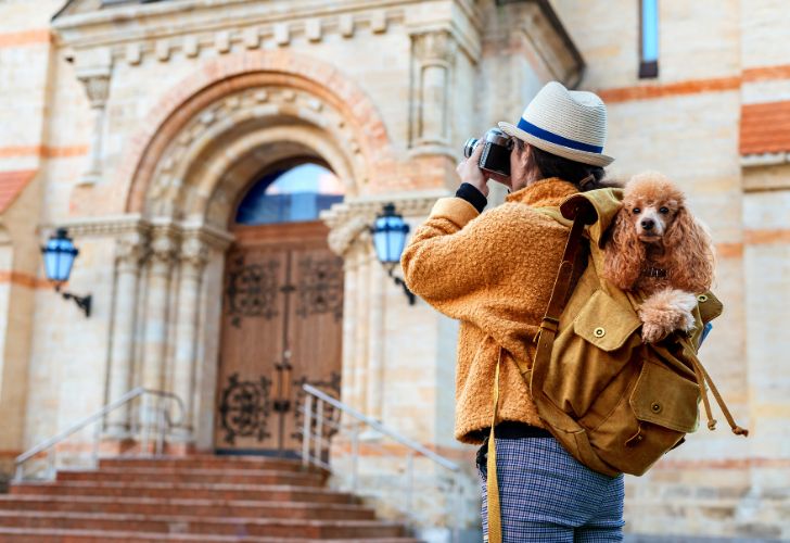 Vacances avec votre animal