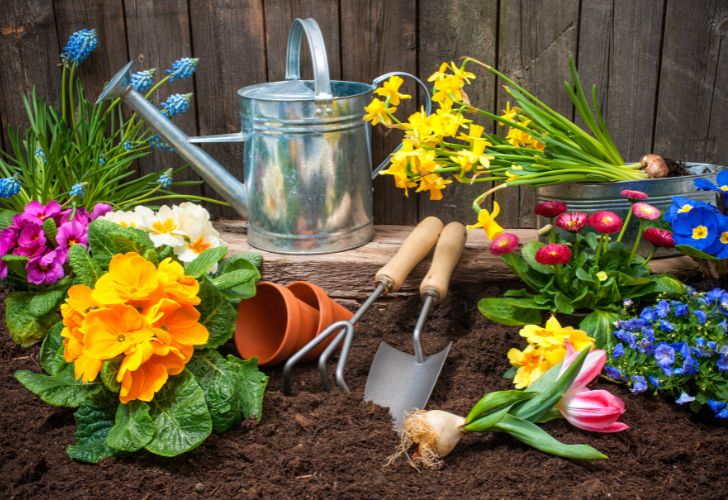 Jardinage pour débutants