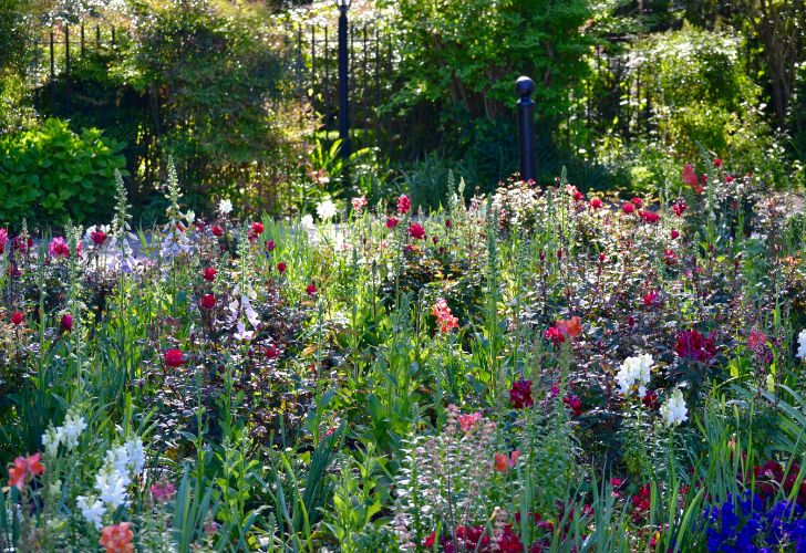 Jardin écologique