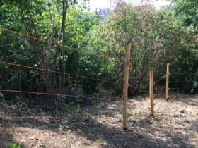 Clôture électrique