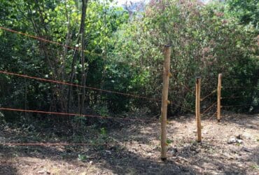 Clôture électrique